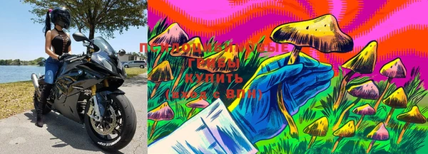 МДМА Богородицк