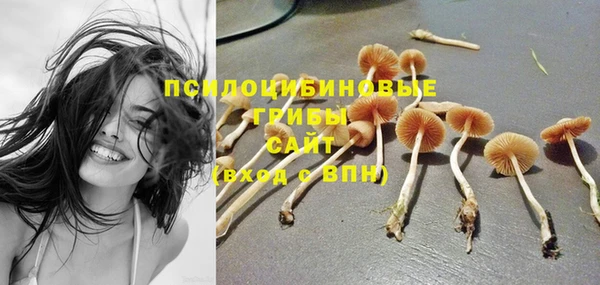 меф VHQ Бородино